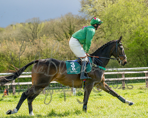 Race 3 - Six and Overs Maiden 3m (26 of 93)