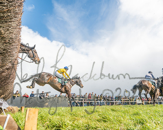Race 3 - Six and Overs Maiden 3m (28 of 93)