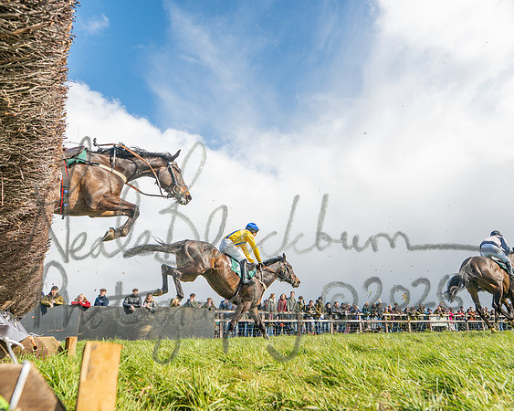 Race 3 - Six and Overs Maiden 3m (29 of 93)
