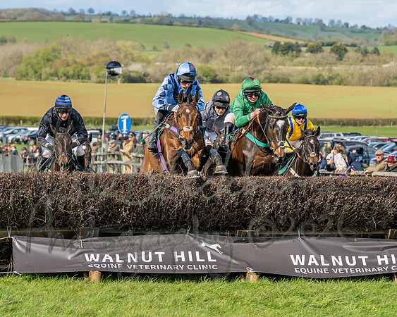 Race 3 - Six and Overs Maiden 3m (32 of 93)