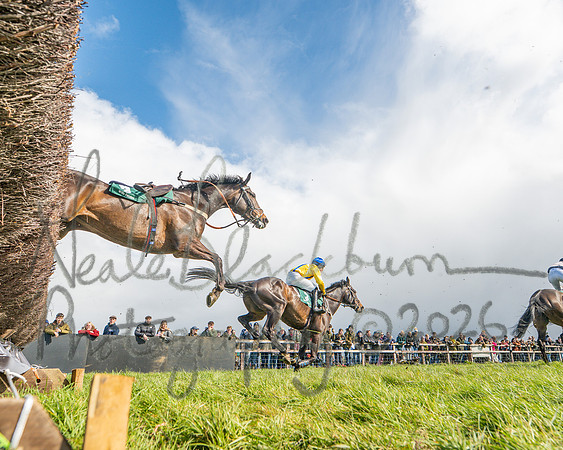 Race 3 - Six and Overs Maiden 3m (30 of 93)