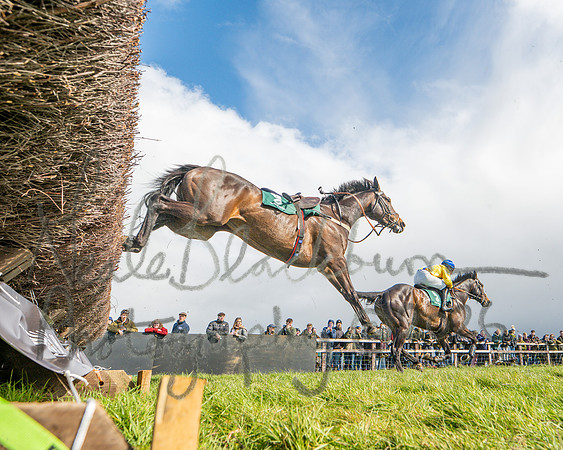 Race 3 - Six and Overs Maiden 3m (31 of 93)
