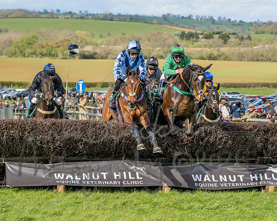 Race 3 - Six and Overs Maiden 3m (33 of 93)