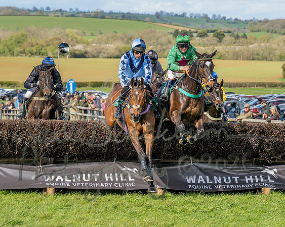 Race 3 - Six and Overs Maiden 3m (34 of 93)