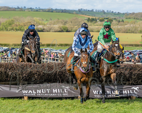 Race 3 - Six and Overs Maiden 3m (36 of 93)