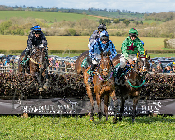 Race 3 - Six and Overs Maiden 3m (37 of 93)