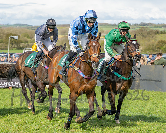 Race 3 - Six and Overs Maiden 3m (45 of 93)