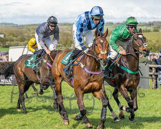 Race 3 - Six and Overs Maiden 3m (46 of 93)