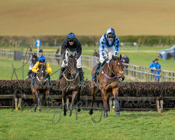 Race 3 - Six and Overs Maiden 3m (51 of 93)