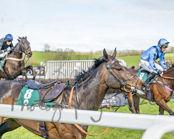 Race 3 - Six and Overs Maiden 3m (54 of 93)