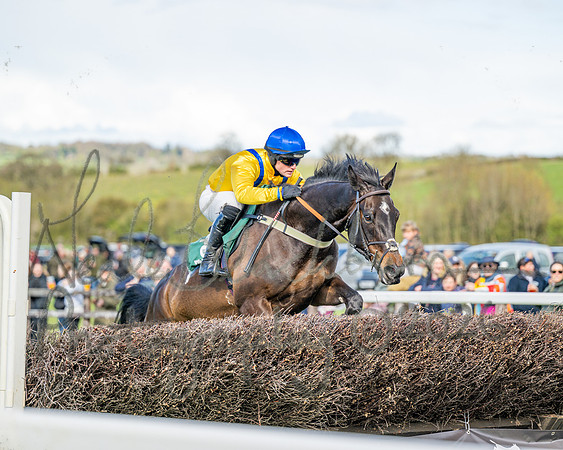 Race 3 - Six and Overs Maiden 3m (55 of 93)