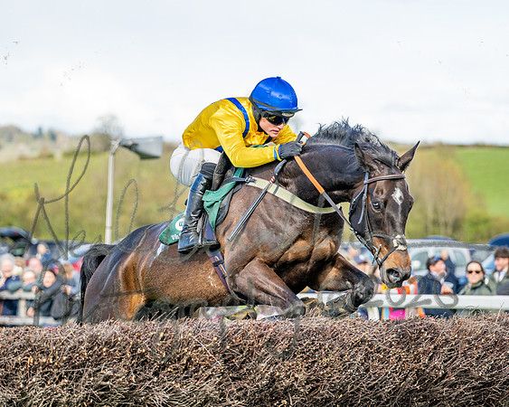 Race 3 - Six and Overs Maiden 3m (56 of 93)