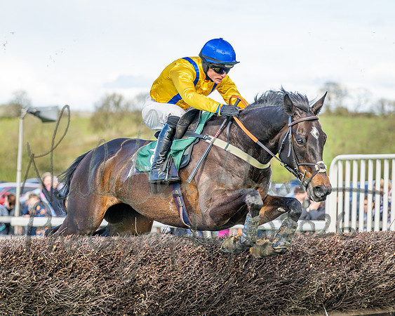 Race 3 - Six and Overs Maiden 3m (57 of 93)