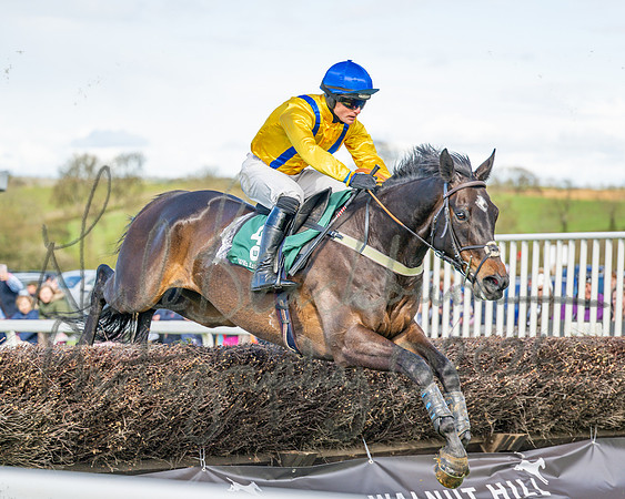 Race 3 - Six and Overs Maiden 3m (58 of 93)