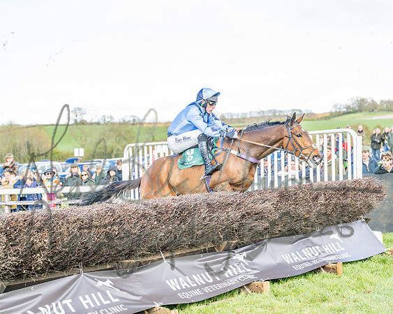 Race 3 - Six and Overs Maiden 3m (59 of 93)