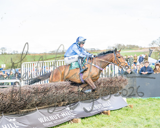 Race 3 - Six and Overs Maiden 3m (60 of 93)