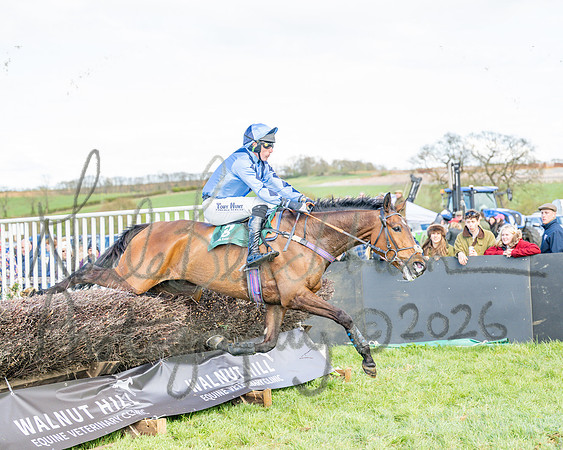 Race 3 - Six and Overs Maiden 3m (61 of 93)
