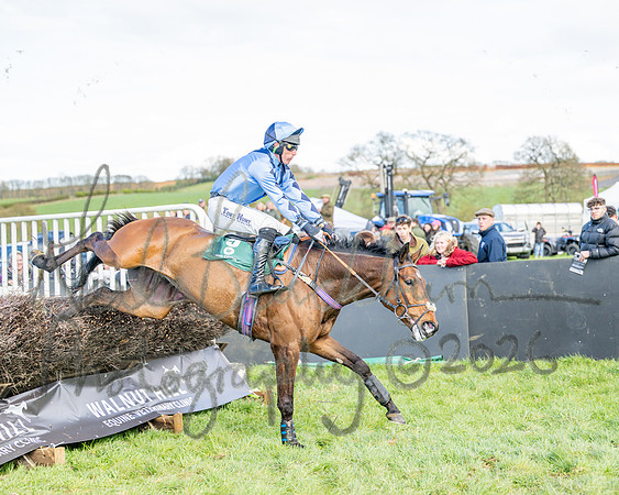 Race 3 - Six and Overs Maiden 3m (62 of 93)