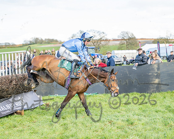 Race 3 - Six and Overs Maiden 3m (63 of 93)