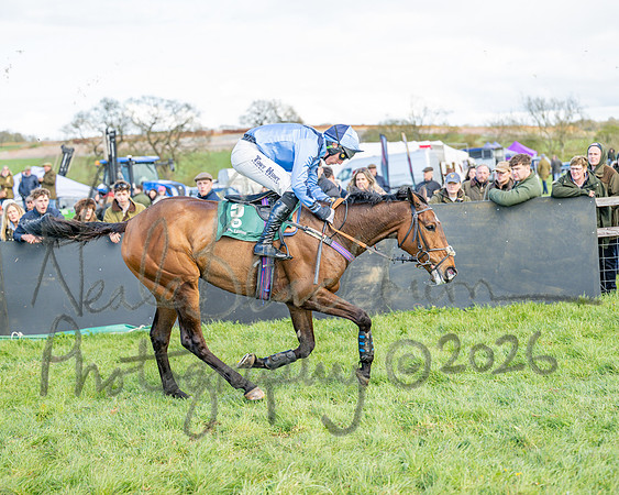 Race 3 - Six and Overs Maiden 3m (65 of 93)