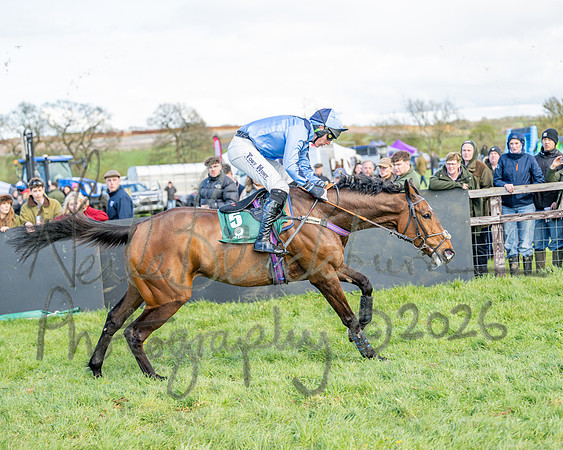 Race 3 - Six and Overs Maiden 3m (66 of 93)
