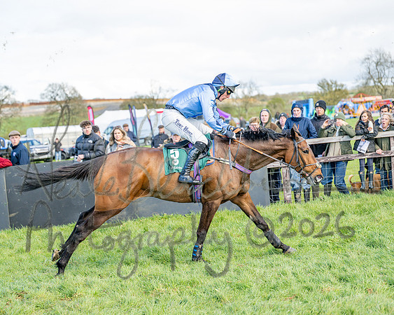 Race 3 - Six and Overs Maiden 3m (67 of 93)
