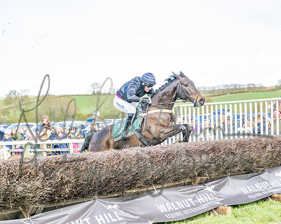 Race 3 - Six and Overs Maiden 3m (68 of 93)