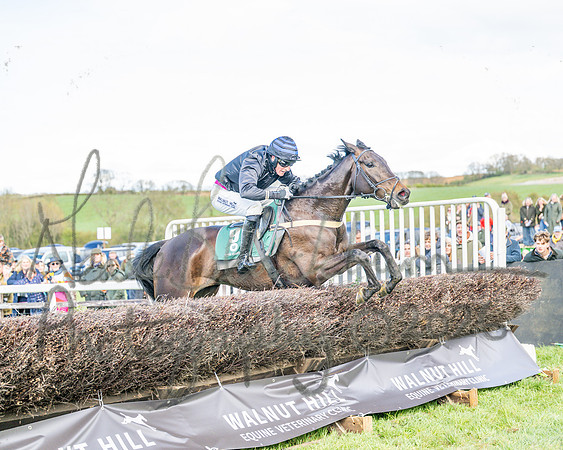 Race 3 - Six and Overs Maiden 3m (69 of 93)
