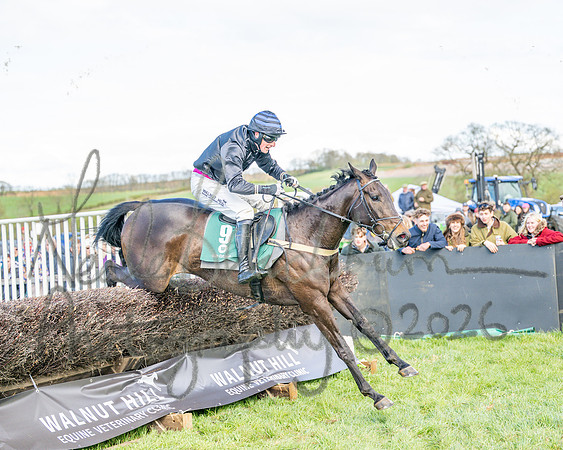 Race 3 - Six and Overs Maiden 3m (71 of 93)