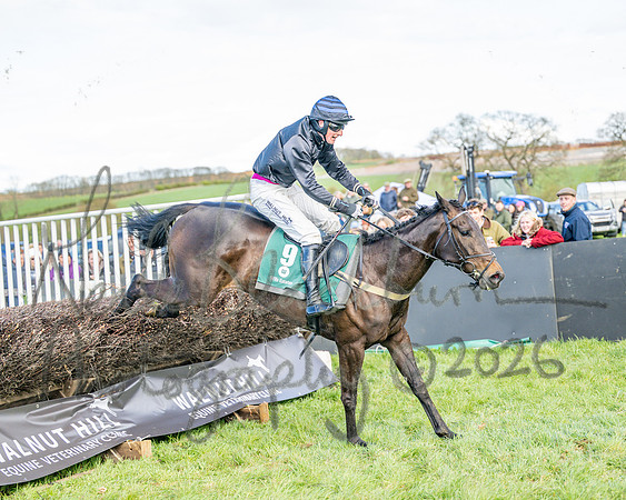 Race 3 - Six and Overs Maiden 3m (72 of 93)