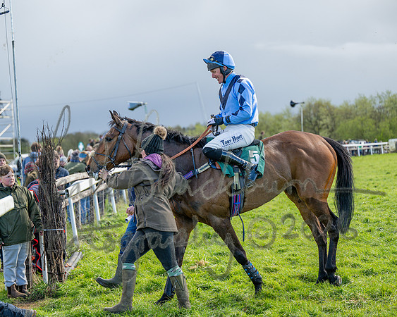 Race 3 - Six and Overs Maiden 3m (77 of 93)