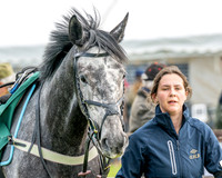 Race 4 - Edgcote Gold Cup (4 of 92)