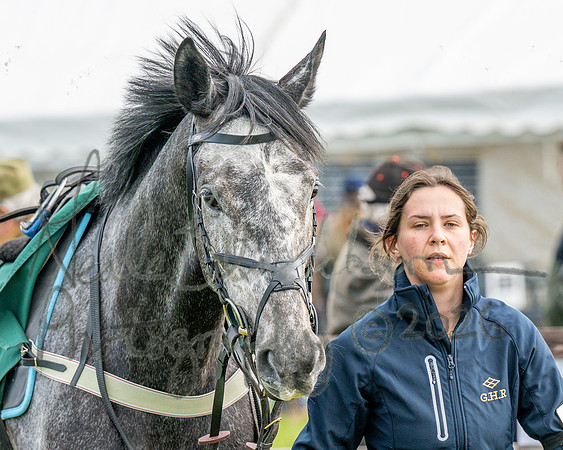 Race 4 - Edgcote Gold Cup (4 of 92)