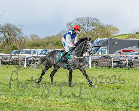 Race 4 - Edgcote Gold Cup (7 of 92)
