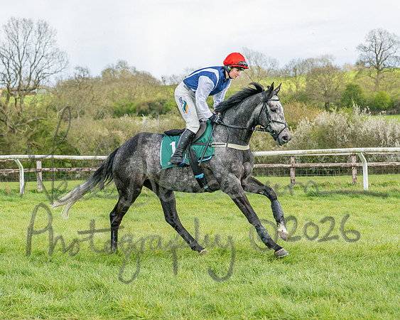 Race 4 - Edgcote Gold Cup (9 of 92)