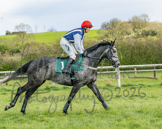 Race 4 - Edgcote Gold Cup (12 of 92)