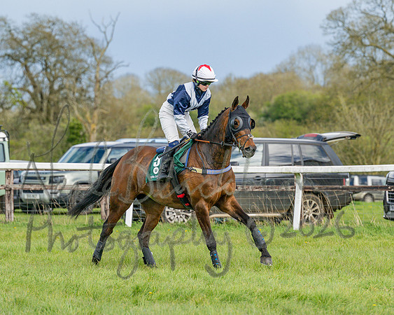 Race 4 - Edgcote Gold Cup (14 of 92)
