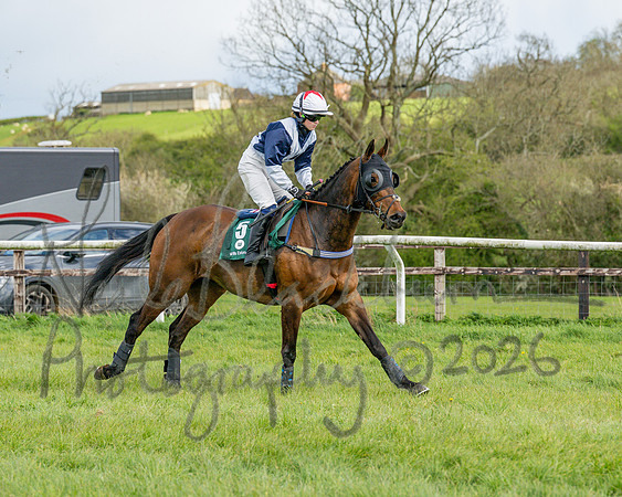 Race 4 - Edgcote Gold Cup (15 of 92)