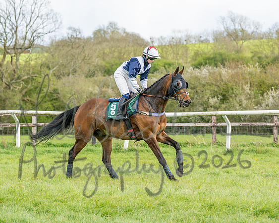 Race 4 - Edgcote Gold Cup (16 of 92)