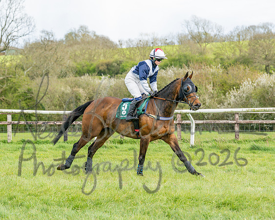 Race 4 - Edgcote Gold Cup (17 of 92)