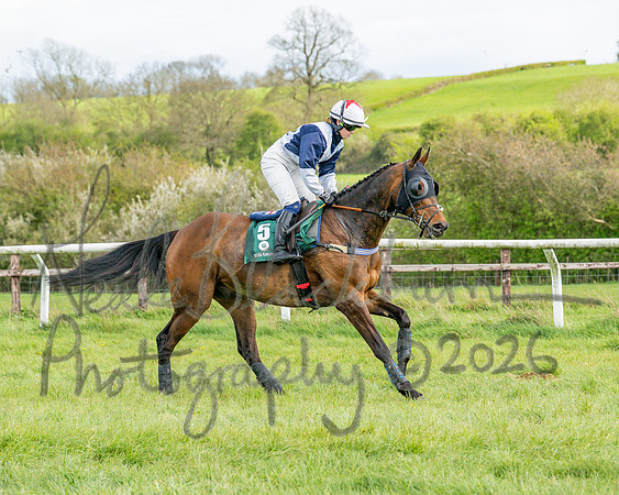 Race 4 - Edgcote Gold Cup (18 of 92)