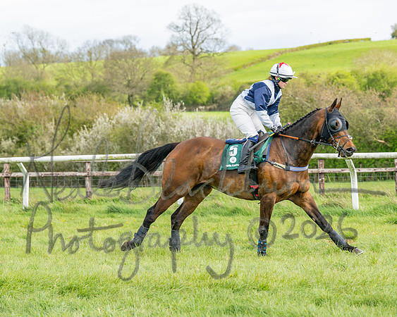 Race 4 - Edgcote Gold Cup (19 of 92)