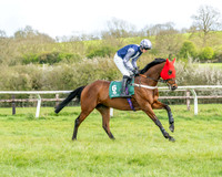 Race 4 - Edgcote Gold Cup (20 of 92)