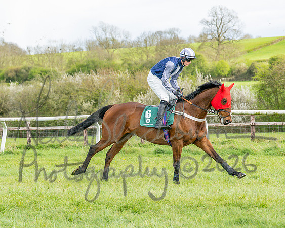 Race 4 - Edgcote Gold Cup (21 of 92)