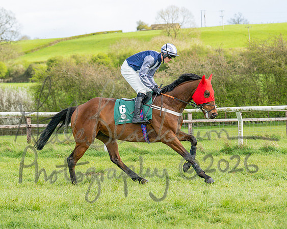 Race 4 - Edgcote Gold Cup (22 of 92)