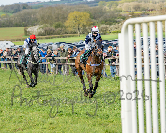 Race 4 - Edgcote Gold Cup (25 of 92)