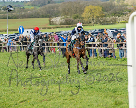Race 4 - Edgcote Gold Cup (24 of 92)