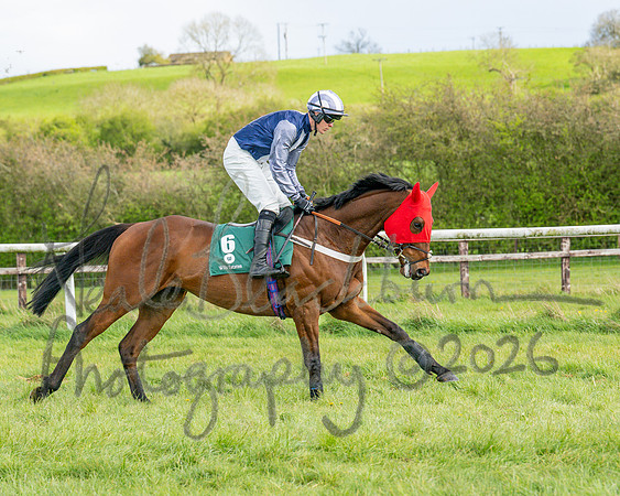 Race 4 - Edgcote Gold Cup (23 of 92)