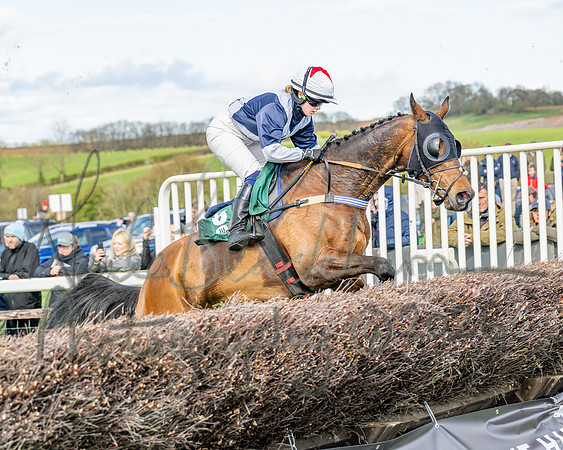 Race 4 - Edgcote Gold Cup (26 of 92)