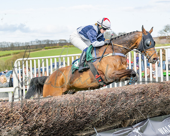 Race 4 - Edgcote Gold Cup (27 of 92)